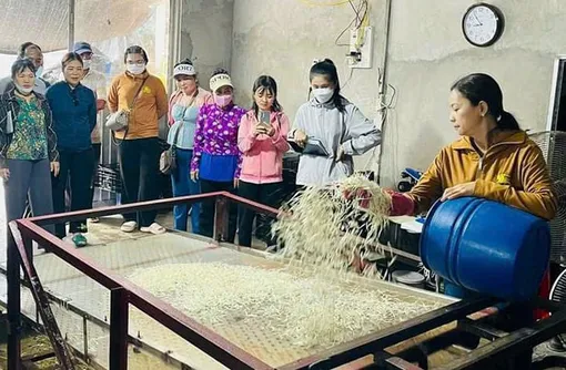 Đáp ứng nhu cầu nâng cao tay nghề của lao động nông thôn