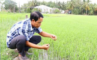 "វិស្វករ​វាល​ស្រែ" ថាច់​សេត