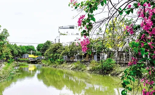 Tăng tính thích ứng, phát triển bền vững vùng ÐBSCL