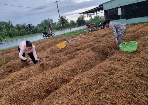 Dạo quanh thị trường