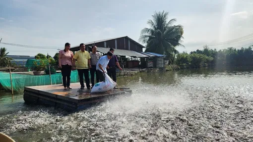 Vĩnh Bình đưa xây dựng nông thôn mới sang trang