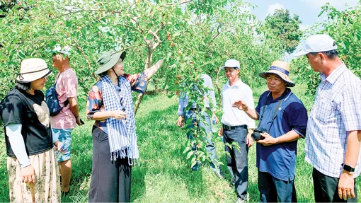 Cần Thơ thúc đẩy phát triển du lịch nông nghiệp