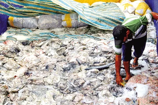 Cần giải pháp căn cơ cấp bách