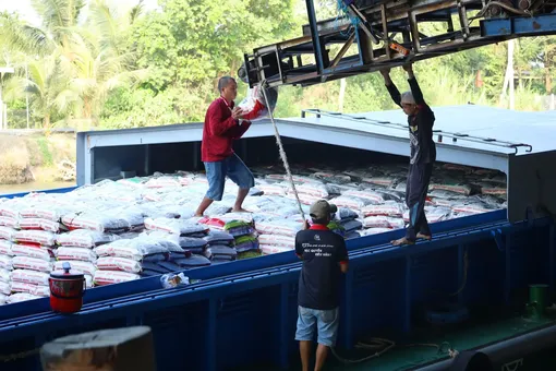 Để nông sản Việt xuất khẩu bền vững