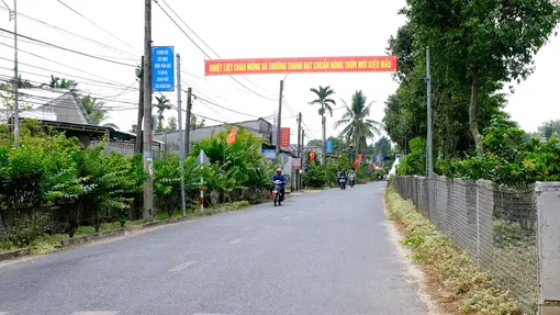 Cả nước có 347 xã nông thôn mới kiểu mẫu