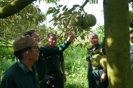 Cựu chiến binh giúp nhau giảm nghèo, làm kinh tế giỏi