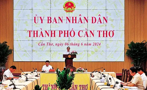 Bàn giải pháp thúc đẩy hợp tác phát triển kinh tế - xã hội giữa TP Cần Thơ với các địa phương, đơn vị