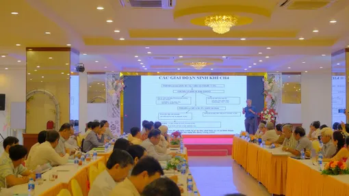 Bàn giải pháp thực hiện có hiệu quả đề án 1 triệu héc-ta chuyên canh lúa chất lượng cao và phát thải thấp vùng ÐBSCL