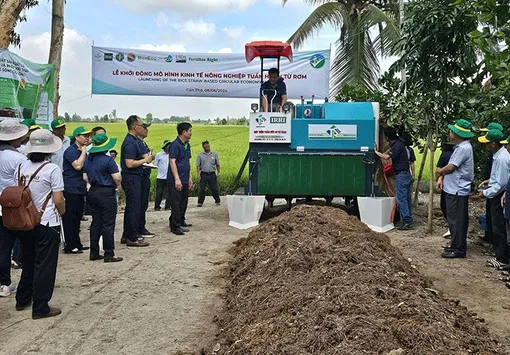 Khởi động mô hình kinh tế nông nghiệp tuần hoàn từ rơm