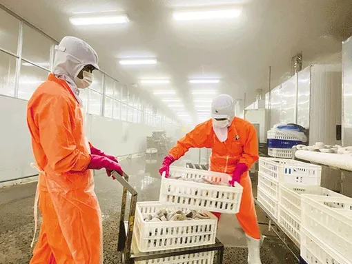 Nhiều nền tảng vững chắc để tăng trưởng kinh tế