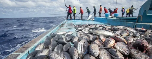 Hiểu biết sâu - Hành động đúng