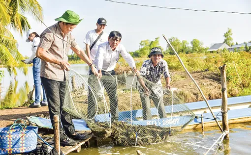 Nông dân nuôi tôm thắng lợi dù thời tiết khắc nghiệt