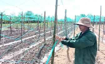 ប្រ​ព័ន្ធ​បាញ់​ទឹក​បន្លែ កាត់​បន្ថយ​ចំ​ណាយ​បង្កើន​ចំ​ណេញ​