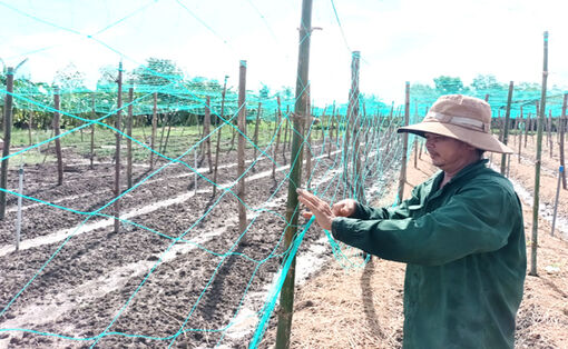 ប្រ​ព័ន្ធ​បាញ់​ទឹក​បន្លែ កាត់​បន្ថយ​ចំ​ណាយ​បង្កើន​ចំ​ណេញ​