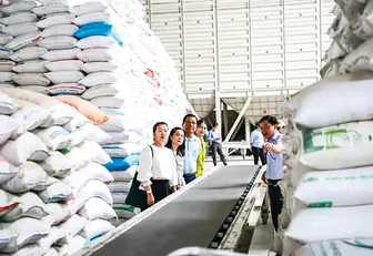 Tháo gỡ khó khăn, hỗ trợ doanh nghiệp phát triển sản xuất, kinh doanh Tháo gỡ khó khăn, hỗ trợ doanh nghiệp phát triển sản xuất, kinh doanh