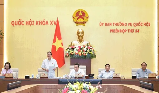 Nhất trí giảm 2% thuế giá trị gia tăng đến hết năm 2024