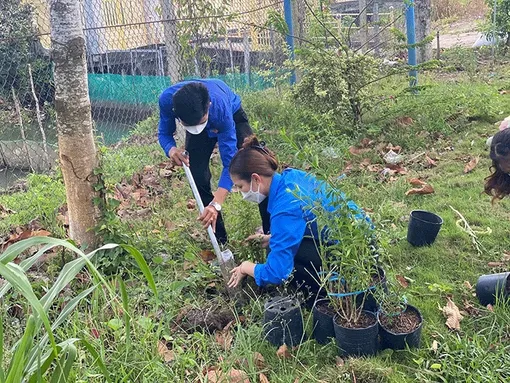 Góp sức trẻ xây dựng quê hương