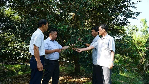 Củng cố, vun đắp niềm tin trong nhân dân