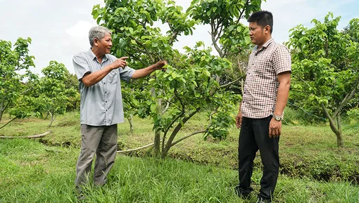 Chỉ đạo phát triển kinh tế tập thể