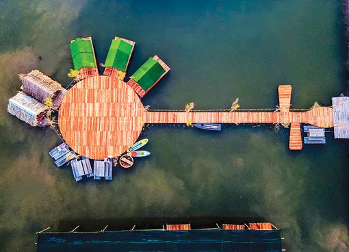 Chàng trai khởi nghiệp từ rừng