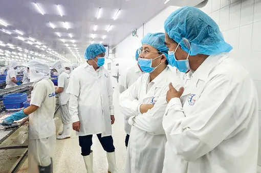 Lãnh đạo thành phố thăm một số doanh nghiệp chế biến nông, thủy sản