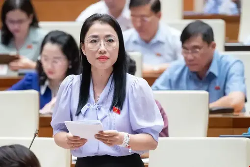 Thảo luận về dự án Luật Công đoàn (sửa đổi)