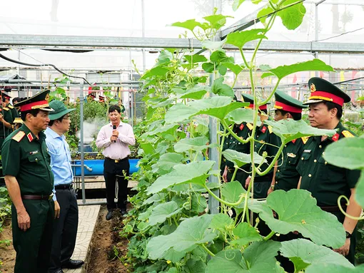 Ban Chỉ huy Quân sự các quận tăng gia sản xuất được trên 974 triệu đồng