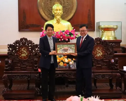 Lãnh đạo thành phố tiếp đoàn công tác TP Đông Dinh, Trung Quốc