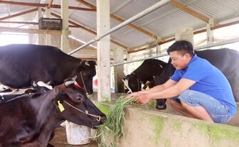 គោ​លនយោ​បាយ​ពង្រីក​ប្រ​សិទ្ធ​ភាព​