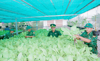 បង្កើន​ការ​ផលិត ធានា​ផ្គត់​ផ្គង់​ប្រ​ភព​បន្លែ​ស្អាត​ដល់​អង្គ​ភាព​