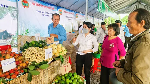 Ngày hội Du lịch sinh thái Phong Điền - Cần Thơ diễn ra từ 5-7