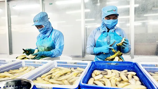 Cộng đồng doanh nghiệp phát huy nội lực, linh hoạt vượt khó