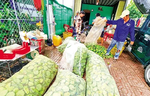 Giá gương sen tăng, ớt đạt mức giá cao kỷ lục, nhãn xuồng cơm vàng giảm giá