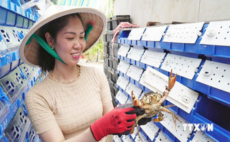 ចិញ្ចឹម​ក្ដាម​ក្នុង​ប្រ​អប់​ជ័រ​