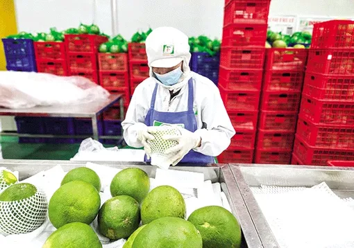 Hoa Kỳ là thị trường xuất khẩu lớn nhất của Việt Nam