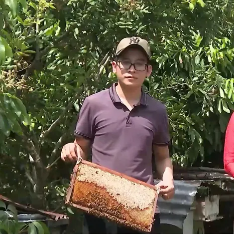Khởi nghiệp thành công với mô hình làm vườn kết hợp nuôi ong mật
