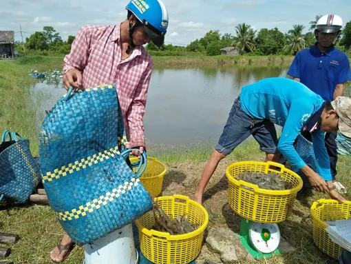 Mở lối đi mới để nuôi hy vọng