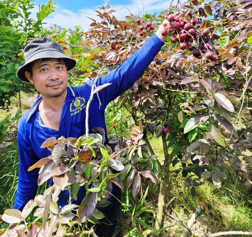 Dạo quanh thị trường