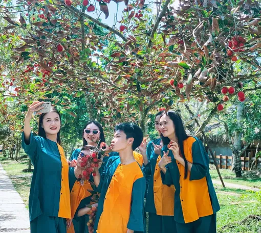 Ngày hội Du lịch sinh thái Phong Điền - Cần Thơ chính thức hoạt động