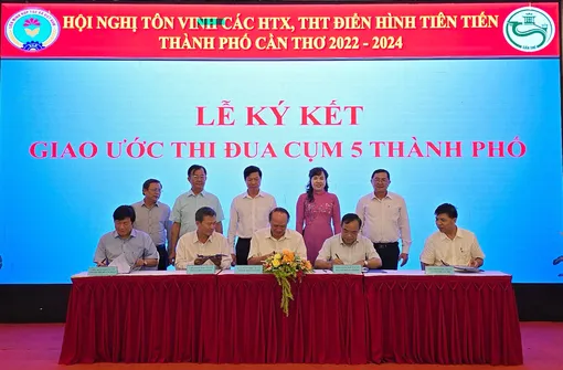 Tôn vinh các hợp tác xã, tổ hợp tác điển hình tiên tiến năm 2022-2024