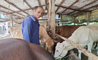 ប្រ​សិទ្ធ​ភាព​ប្រ​ភព​មូល​ទុន​មូល​និធិ​ឧបត្ថម្ភ​កសិករ​