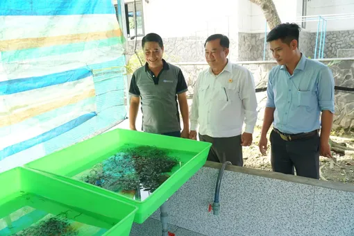 Cựu chiến binh giúp nhau giảm nghèo, nâng cao đời sống