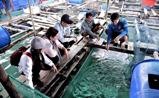 Ðưa kinh tế biển trở thành ngành kinh tế chủ lực của Kiên Giang