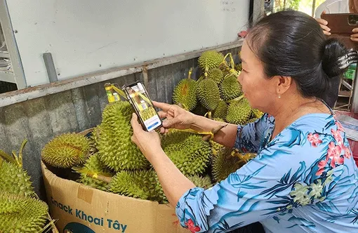 Số hóa tìm đầu ra cho sản phẩm OCOP