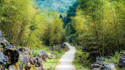 Điện ảnh khơi nguồn cảm hứng cho khán giả “xách ba lô lên và đi”