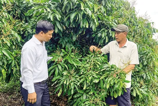 Ô Môn hỗ trợ nhà nông nâng cao giá trị sản phẩm nông sản