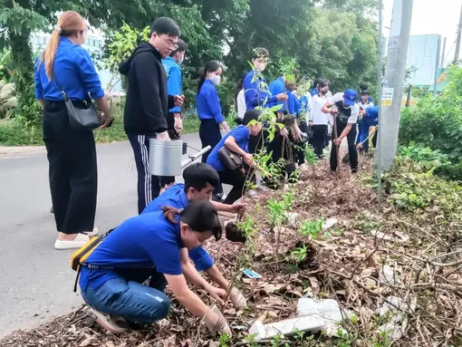 Các cấp Hội LHTNVN huyện Thới Lai tổ chức 2.575 hoạt động tình nguyện