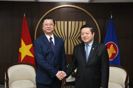 Vietnam pledges more contributions to ASEAN