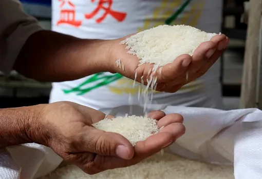 Vietnam's rice exports expected to have positive result in H2