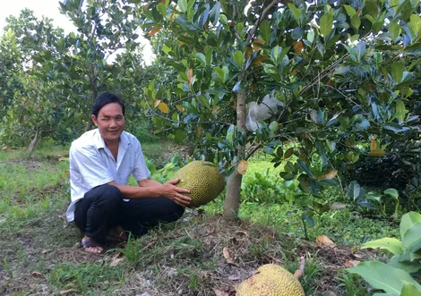 “Nguồn sáng” cuộc đời